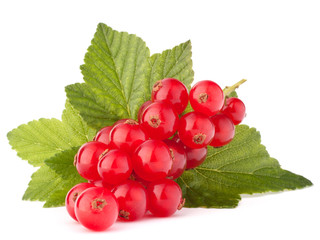 Red currants and green leaves still life