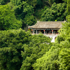 Chinese building in lush junlge