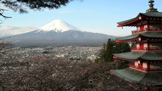 view of Mount Fuji from Chureito Pagoda