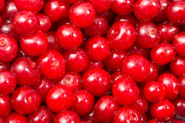 Colorful Display Of Cherries In Fruit Market