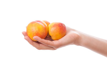 peaches in hand, isolated on white