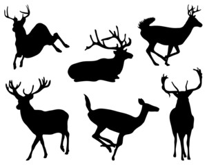 Black silhouette of deers, vector