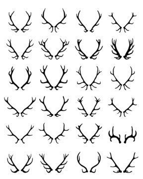 Black silhouettes of different deer horns 2, vector