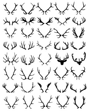 Black silhouettes of different deer horns, vector