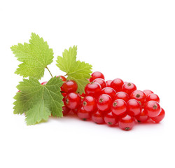 Johannisbeeren