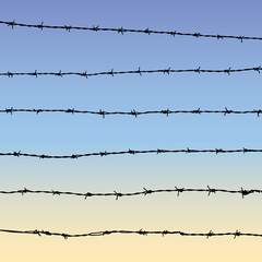 Barbed wire