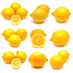 Collection of lemons