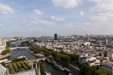 Fototapeta premium Parispanorama von der Kathedrale Notre Dame
