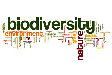 Obraz premium Biodiversity word cloud