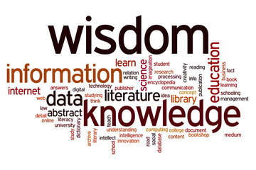 Data information knowledge wisdom word cloud