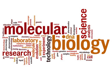 Fototapeta premium Molecular biology word cloud