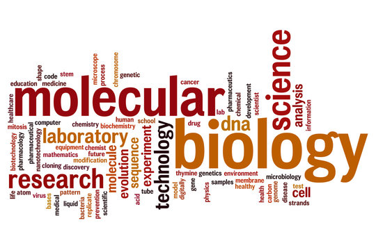 Molecular Biology Word Cloud