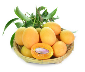Sweet Marian plum fruit in basket on white background(Mayongch i