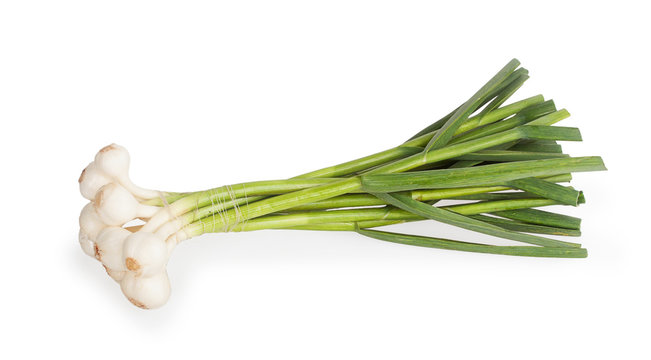 bunch of young garlic