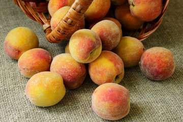 Ripe peaches closeup.