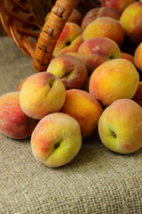 Ripe peaches closeup.