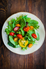 Green salad with colorful tomatoes