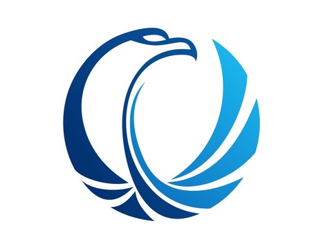 hawk logo, eagle symbol, bird icon, media modern business global vector design