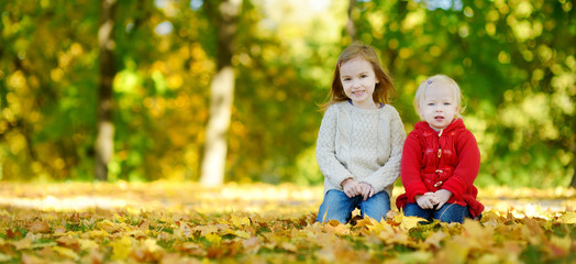 Two sisters having fun in beautiful autumn park