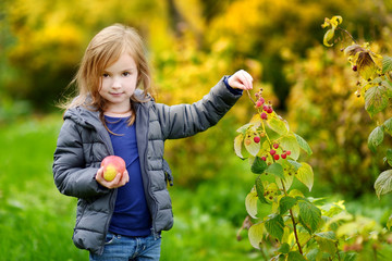 Cute little preschooler girl picking raspberries