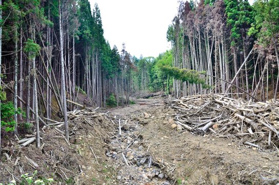 土砂崩れ