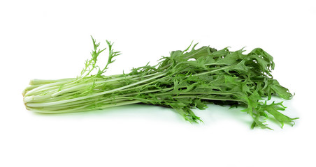 vegetables Mizuna (kyona, Xiu Cai, Kyona, Japanese Mustard) isol