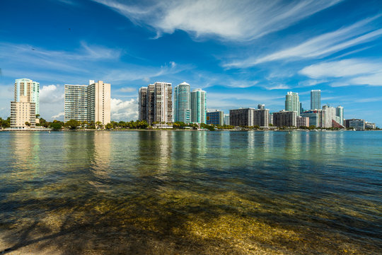 Miami Skyline
