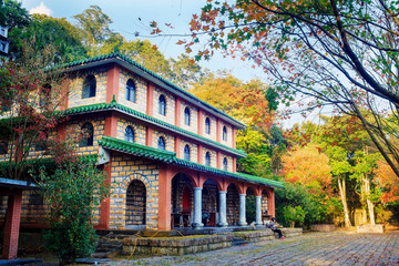 Obraz premium Beautiful maple place, Taiwan