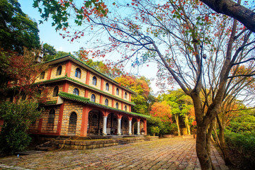 Obraz premium Beautiful maple place, Taiwan