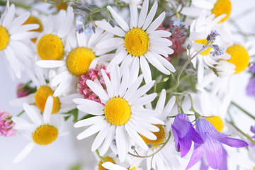 Букет полевых цветов