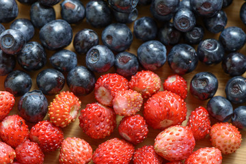 Wild berries