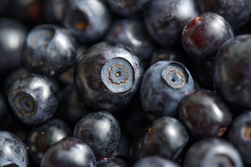 Wild berries