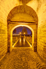 medieval gate