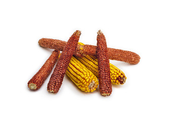 Corn Cobs on Corn