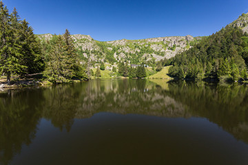 Fototapeta na wymiar Lac et forêt en montagne