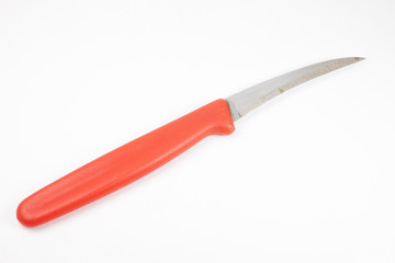 Fruit carving knife