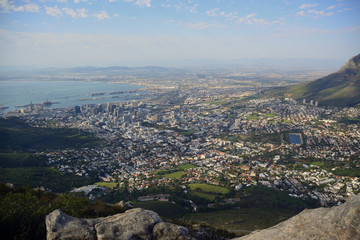 Obraz premium Lions Head View