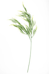 Beautiful artificial flower