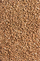 buckwheat grains background