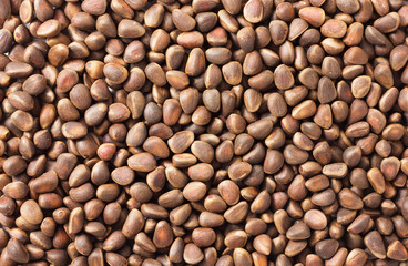Pine nuts background
