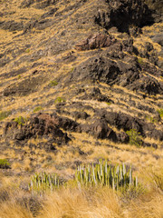 Vulkanisches Gebirge auf Gran Canaria