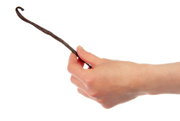 Vanilla pod in the female hand
