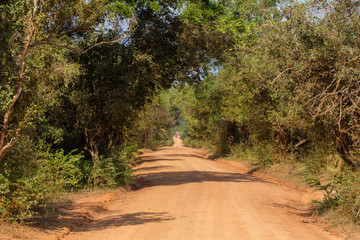 Safai in the Yala Nationalpark