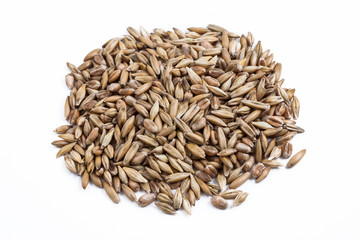Fototapeta premium Heap of wheat seed