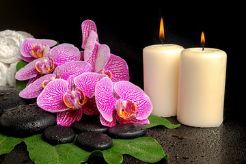 Obraz na płótnie Canvas spa setting of blooming twig violet orchid (phalaenopsis) on zen
