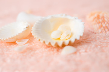 bright seashells on soft pink terry texture, closeup