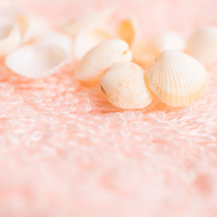 light sea shells on soft pink terry texture, closeup