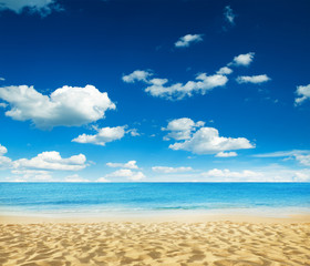 beach and tropical sea