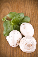mushrooms and green basil