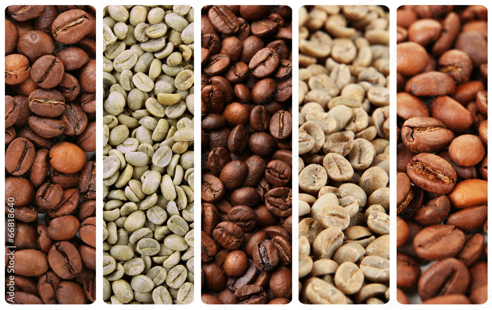 Sticker collage of different coffee beans